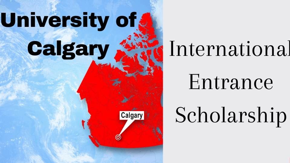 International Entrance Scholarship (1)
