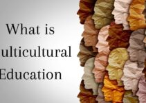 What is Multicultural Education(Update Guide 2021)