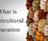 What is Multicultural Education(Update Guide 2022)